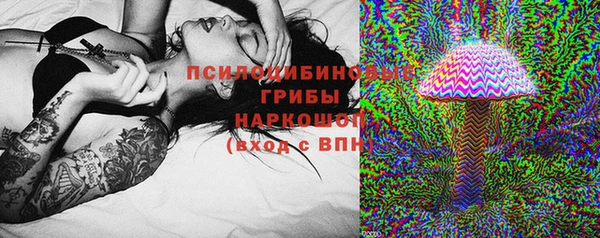 стаф Осинники