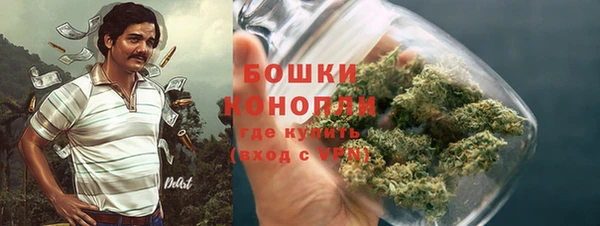 стаф Осинники